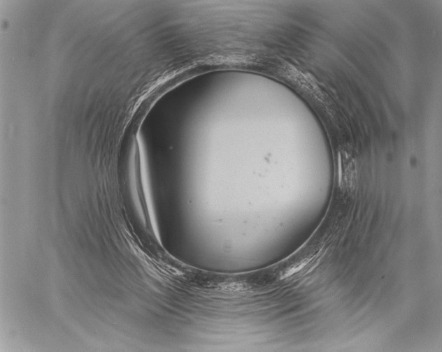 X0000058120204200510171319