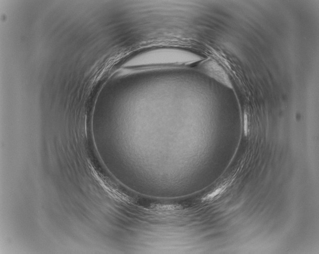 X0000058120205200510171319