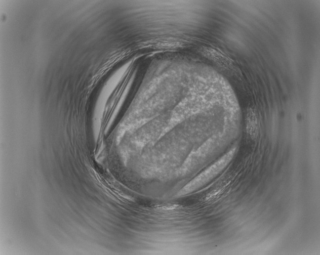 X0000058120206200510171319