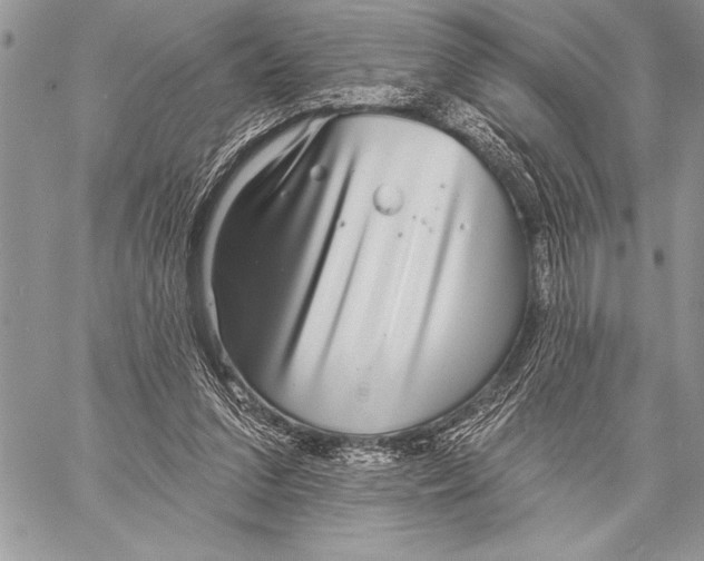 X0000058120207200510171319