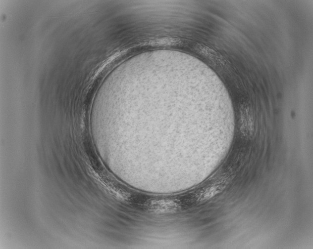 X0000058120208200510171319