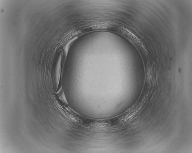 X0000058120209200510171319