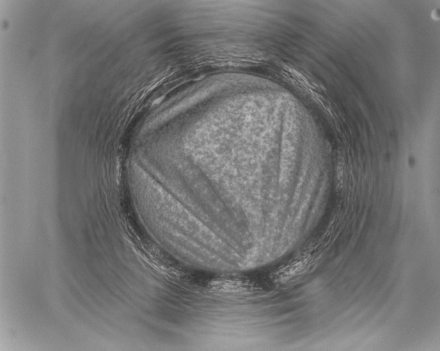 X0000058120211200510171319