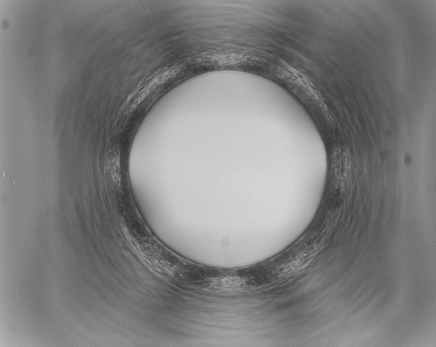 X0000058120212200510171319