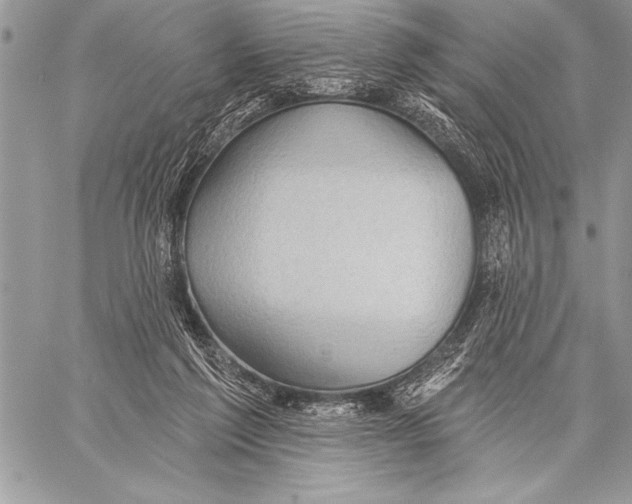 X0000058120213200510171319