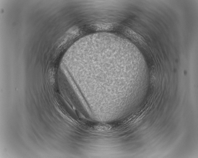 X0000058120215200510171319