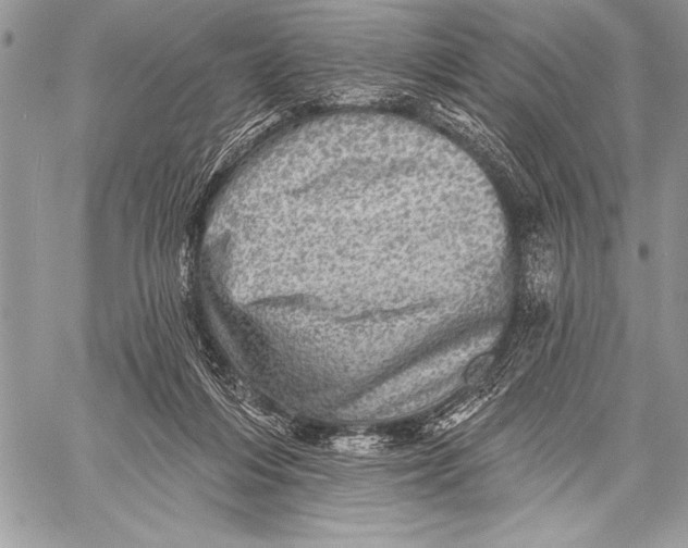 X0000058120216200510171319