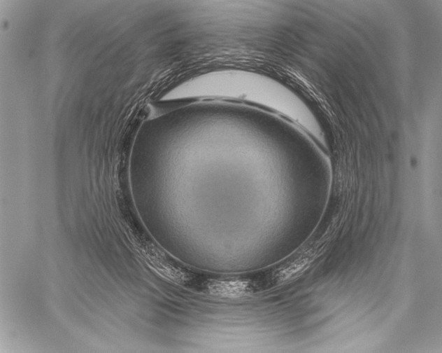 X0000058120217200510171319