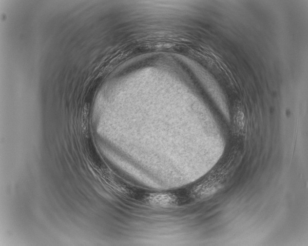 X0000058120218200510171319