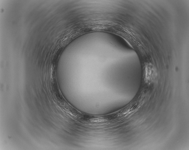 X0000058120219200510171319