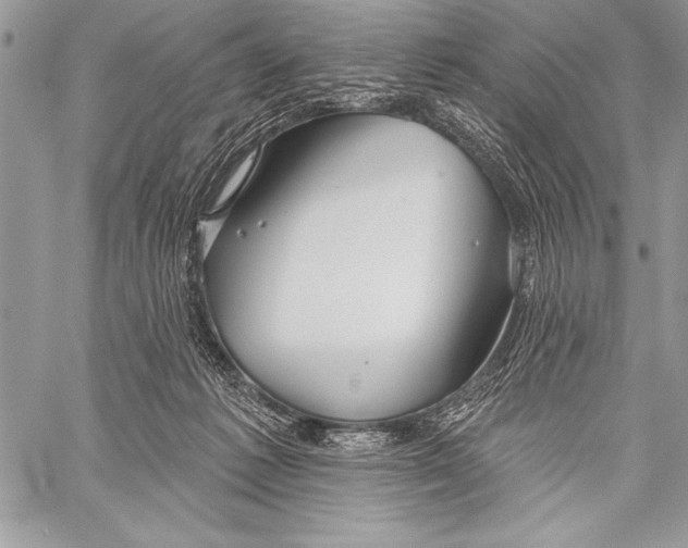 X0000058120221200510171318