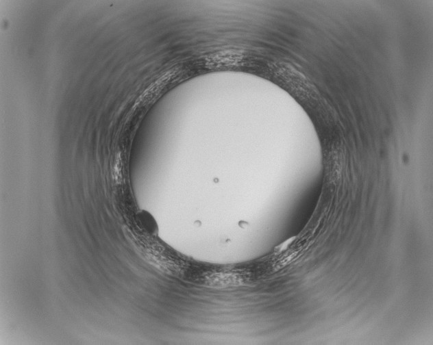 X0000058120224200510171318