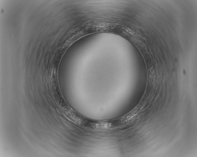 X0000058120225200510171318