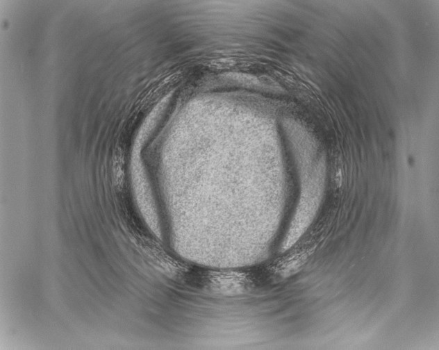 X0000058120226200510171318