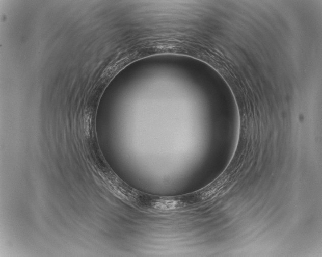 X0000058120227200510171318