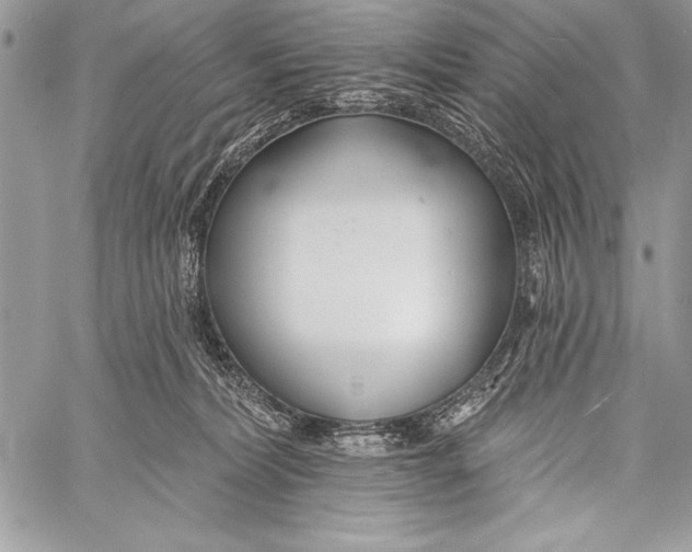 X0000058120228200510171318