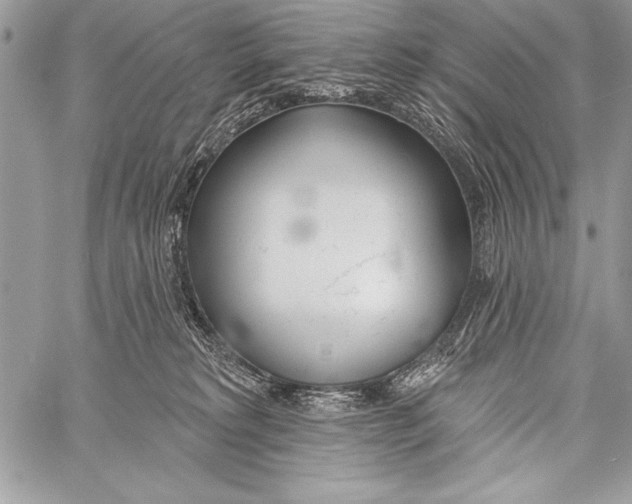 X0000058120229200510171318