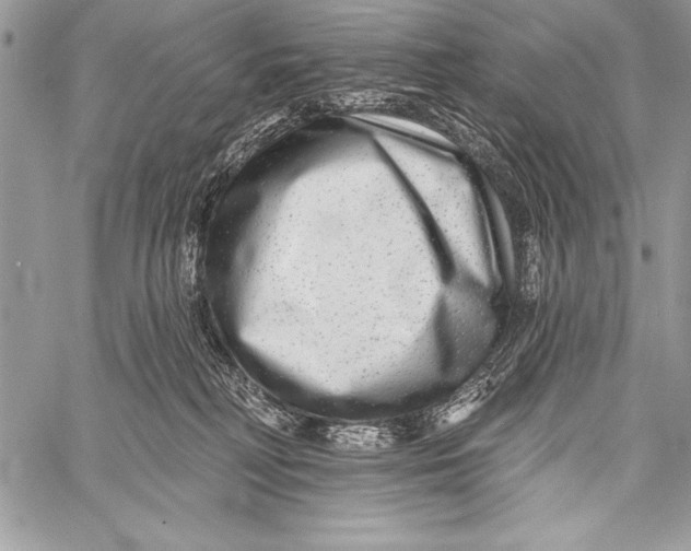 X0000058120230200510171318