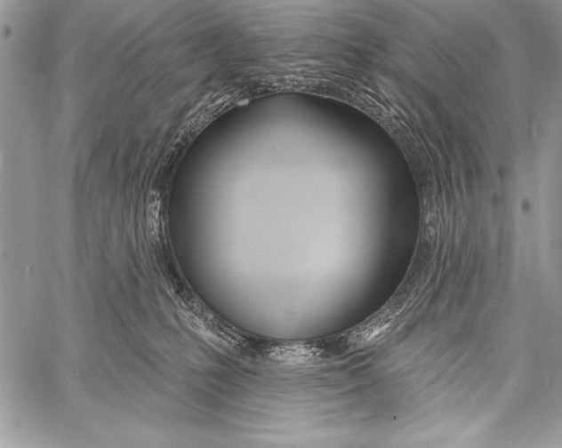 X0000058120231200510171318