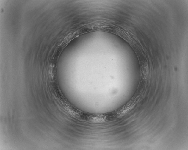 X0000058120232200510171318