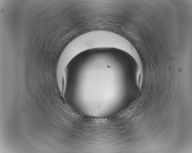 X0000058120233200510171318