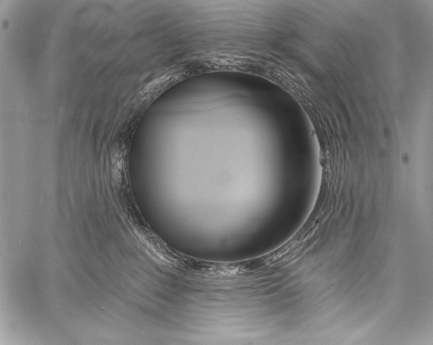 X0000058120235200510171318