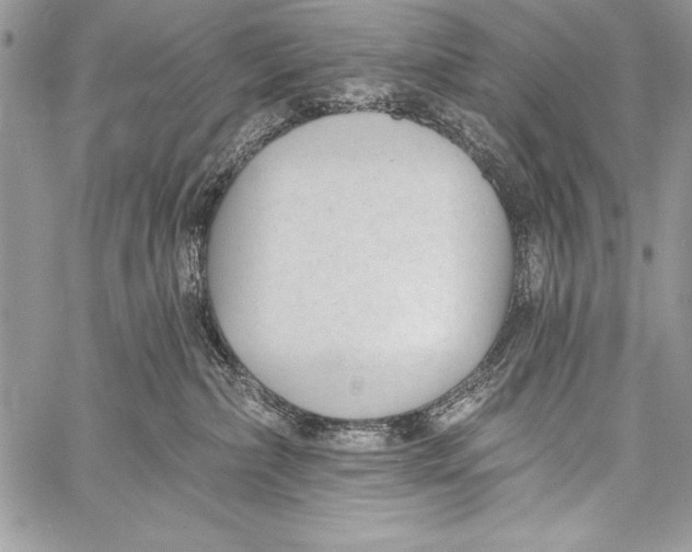 X0000058120236200510171318