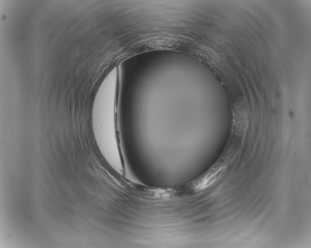 X0000058120239200510171318