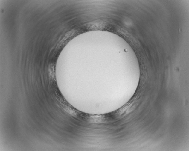 X0000058120240200510171318