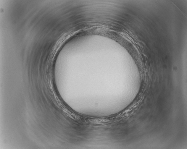 X0000058120241200510171317