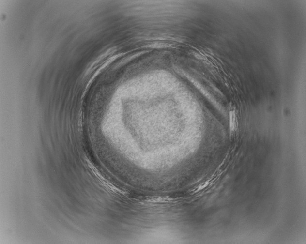 X0000058120243200510171317