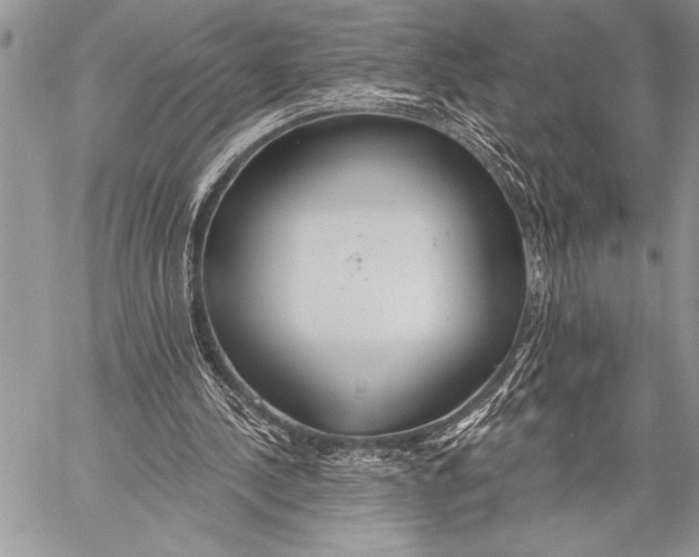 X0000058120244200510171317