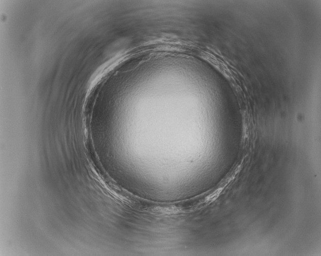 X0000058120245200510171317