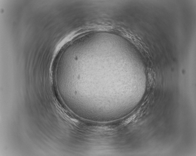 X0000058120246200510171317