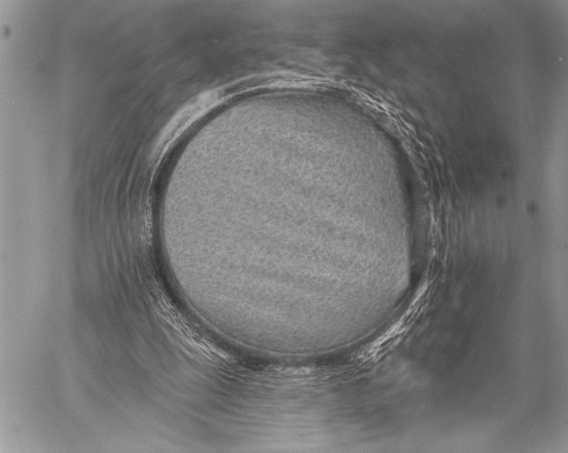 X0000058120247200510171317