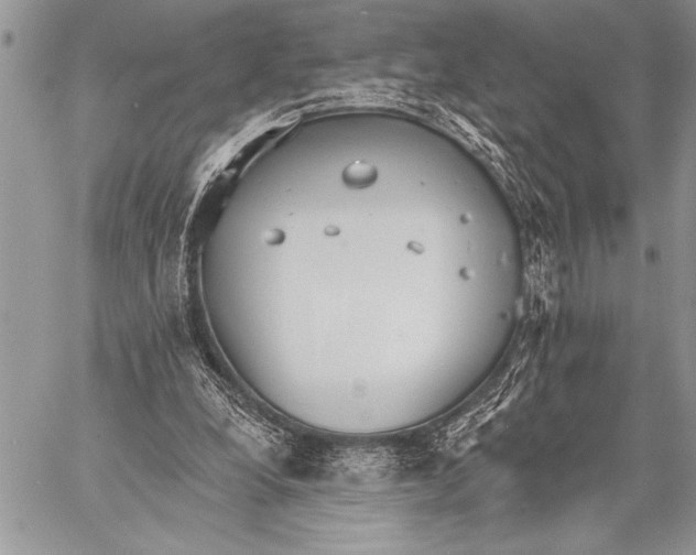 X0000058120248200510171317