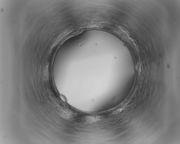 X0000058120250200510171317