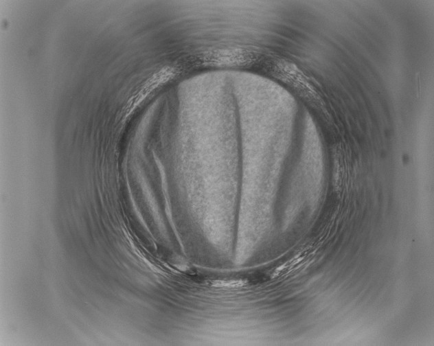 X0000058120251200510171318