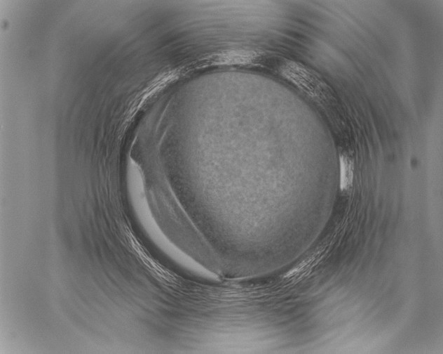 X0000058120253200510171318