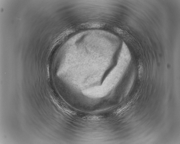 X0000058120254200510171318