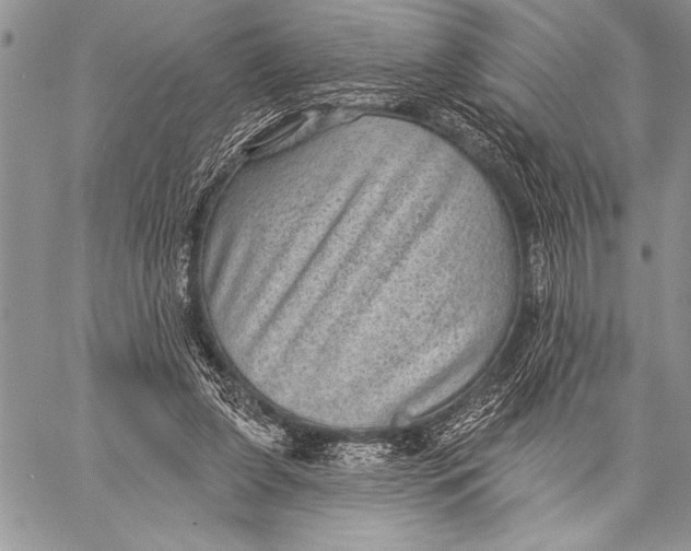 X0000058120255200510171318