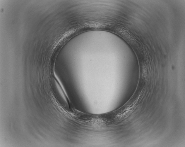 X0000058120256200510171318