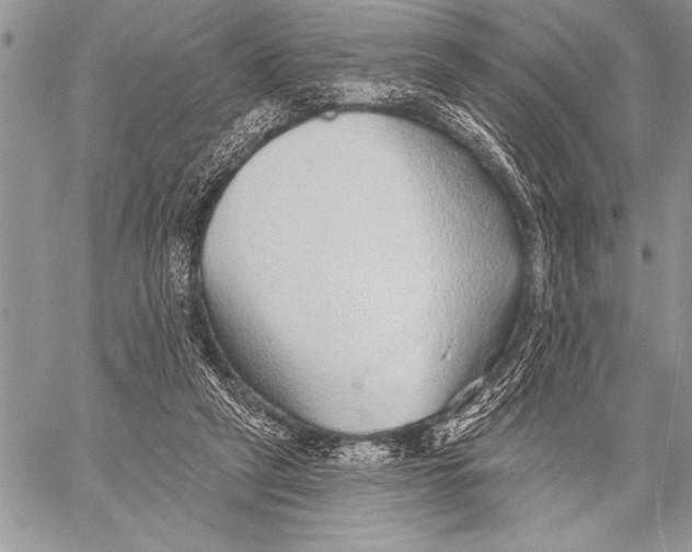 X0000058120257200510171318