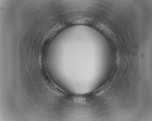 X0000058120258200510171318