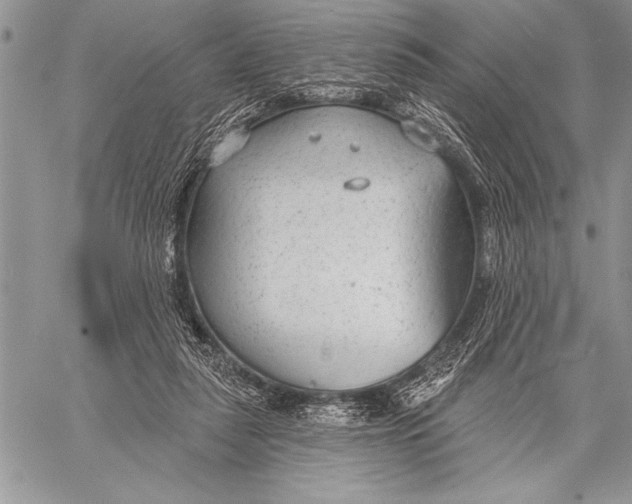 X0000058120259200510171318