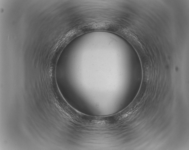 X0000058120260200510171318