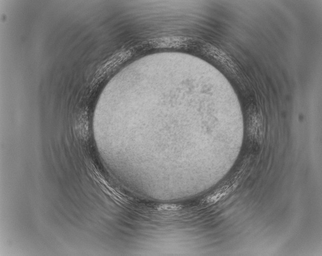 X0000058120261200510171318