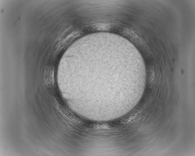 X0000058120262200510171318