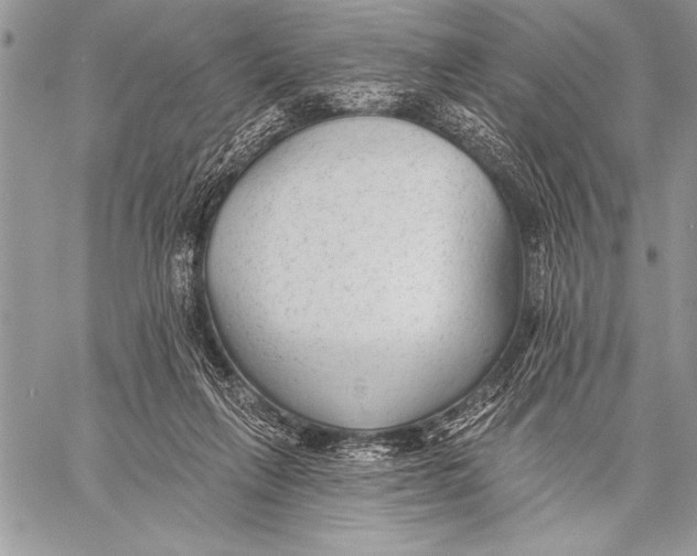 X0000058120263200510171318