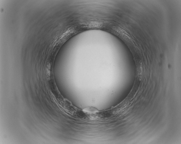 X0000058120264200510171318